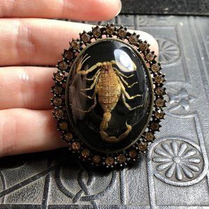 Unique Rhinestone Scorpion Brooch Victorian Goth